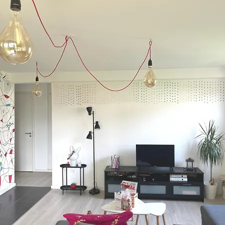 Terrasse Sud - 10 Min Du Centre - * שטרסבורג
